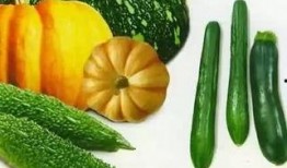 免费在线观看吃瓜,揭秘热门事件幕后真相