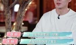 张恒爆料分析最新消息,娱乐圈最新动态大揭秘