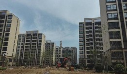 最新的瓜爆料售楼,揭秘楼市风云变幻